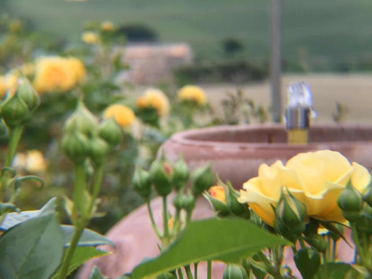 Girasole Lejlighed San Marcello  Eksteriør billede